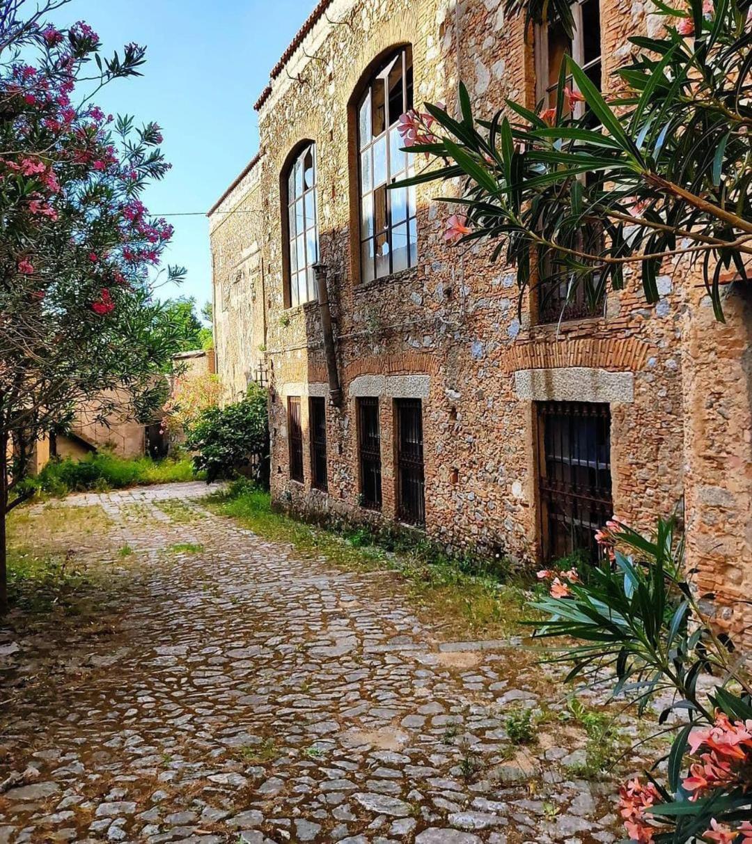 Florence House Santa Caterina dello Ionio Dış mekan fotoğraf